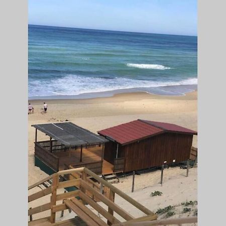 Maison A 300M De La Plage, Quartier Calme Mimizan-Plage Εξωτερικό φωτογραφία