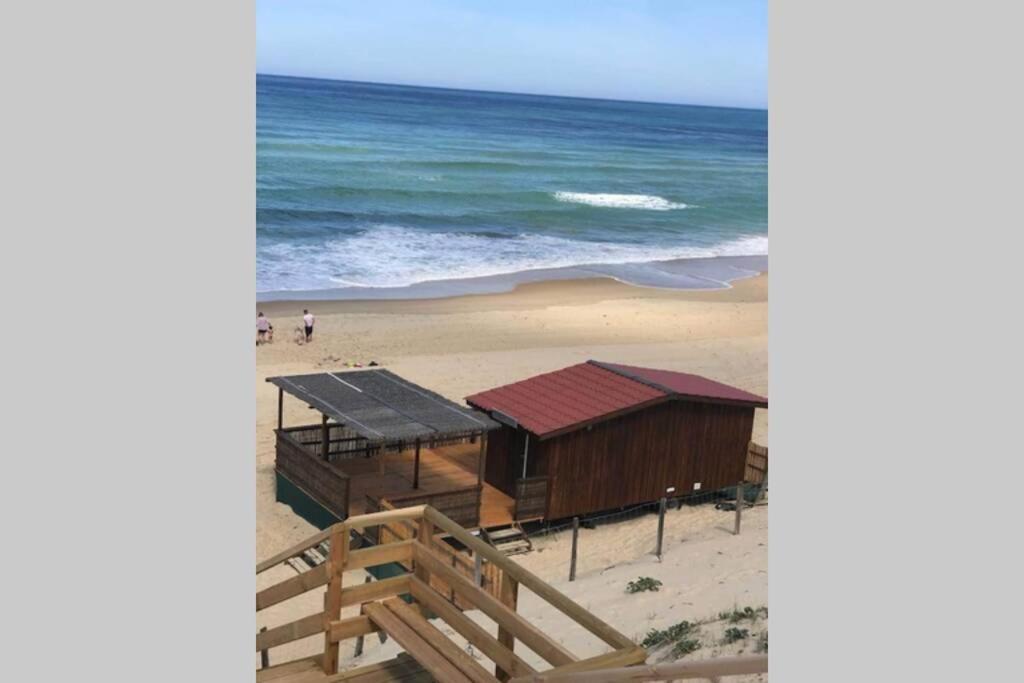 Maison A 300M De La Plage, Quartier Calme Mimizan-Plage Εξωτερικό φωτογραφία
